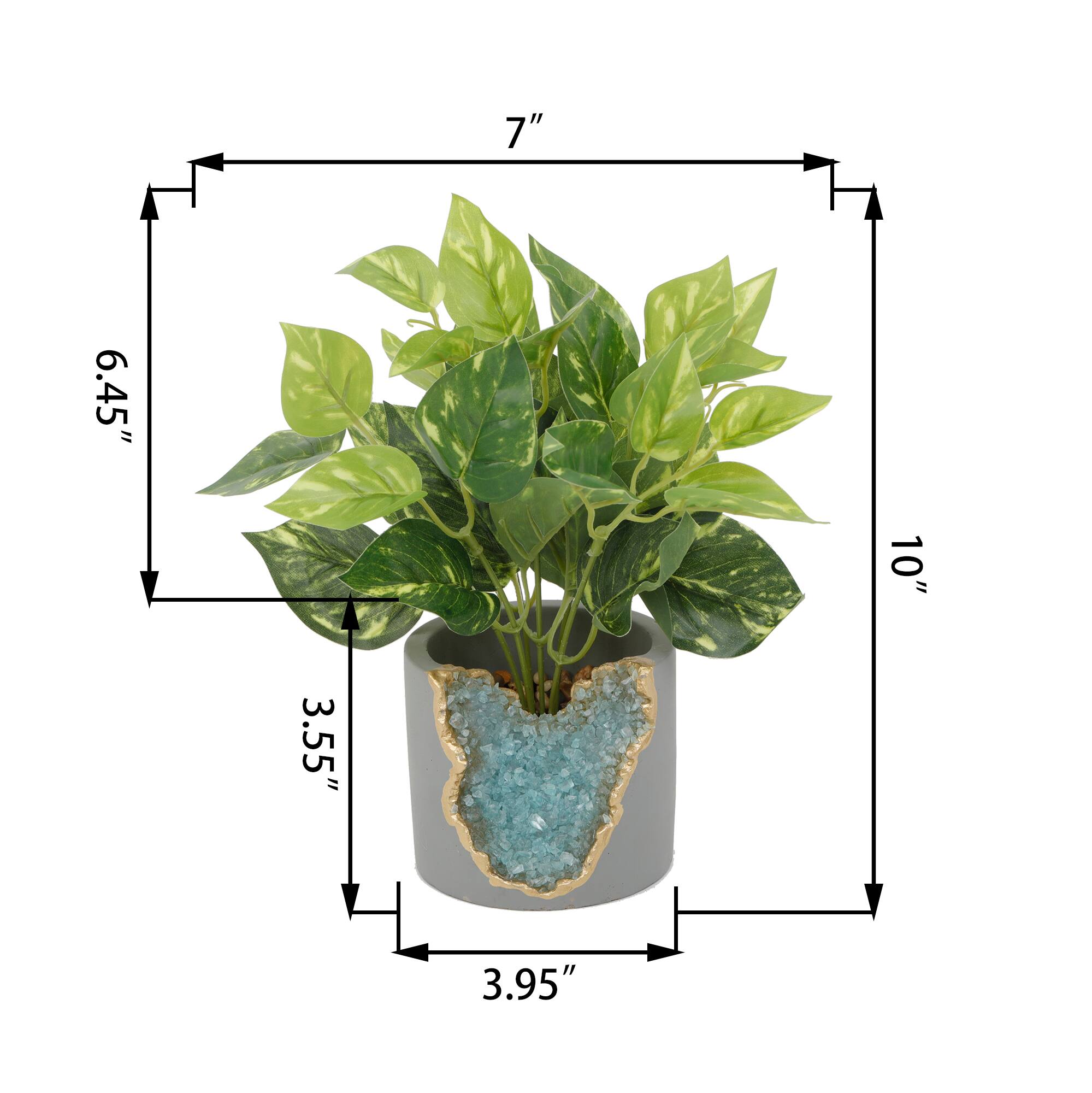Flora Bunda® 10" Devil's Ivy in Blue Crystal Planter